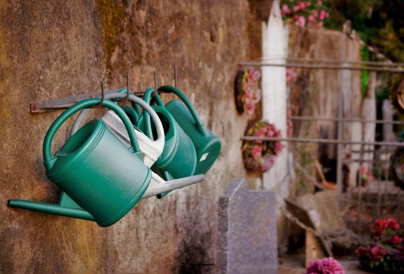 Self-Watering Containers